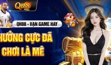 qh88miami1's picture