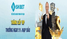 shbetuscom's picture shbetuscom's picture