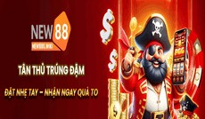 new88swiki's picture