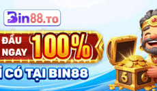 bin88to's picture bin88to's picture