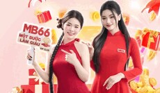 mb66acio's picture mb66acio's picture