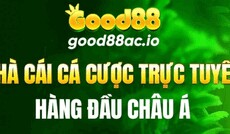 good88acio's picture good88acio's picture