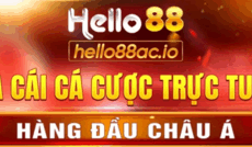 hello88acio's picture