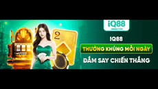 Iq886top's picture Iq886top's picture