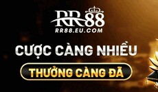 rr88eucom1's picture rr88eucom1's picture