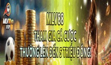 mlv88vnvip's picture