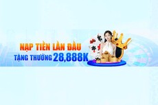 link789f01top's picture