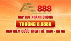 ae888netvc's picture