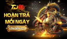 td88ceo's picture td88ceo's picture