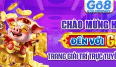 go8company's picture