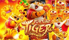 56dslotcombr's picture 56dslotcombr's picture