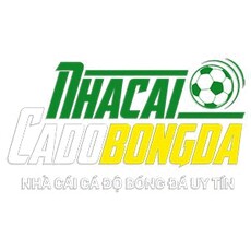 egyptsportsnetworknet's picture egyptsportsnetworknet's picture