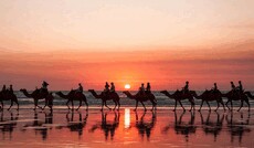 tatintacom's picture