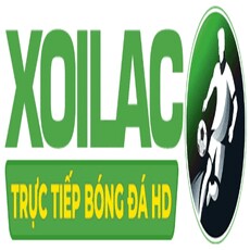 festival4vn's picture