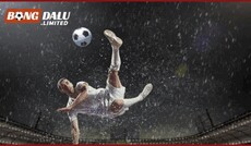 bongdalusystems's picture