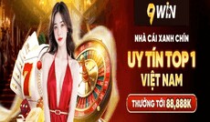 9wincloud's picture 9wincloud's picture