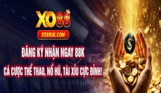 ceoshunnguyen's picture ceoshunnguyen's picture