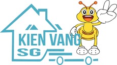 kienvangsaigon's picture