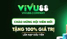 vivu88company's picture