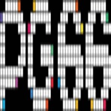 pg66academy's picture pg66academy's picture