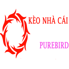 keonhacaipure's picture keonhacaipure's picture