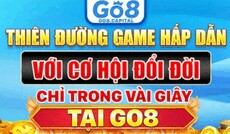 go8capital's picture go8capital's picture