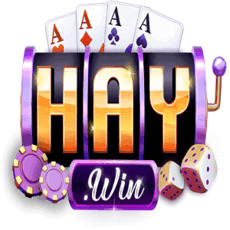 1haywintech's picture 1haywintech's picture