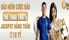 5mb11net's picture 5mb11net's picture