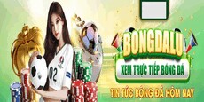 bongdalu772com's picture bongdalu772com's picture