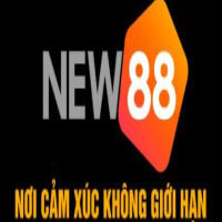 new882info1's picture