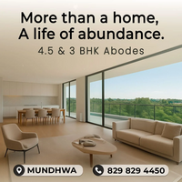 jhamtaniaceabundance's picture jhamtaniaceabundance's picture