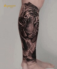 hinhxamvip's picture