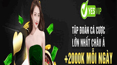 Yesvipdev's picture Yesvipdev's picture