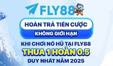 fly88bijpnet's picture