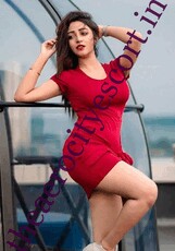 aerocityescorttheaerocityescort's picture