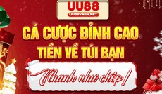 uu88vninet's picture