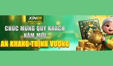 xin88global1's picture