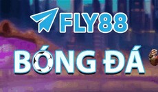 fly88football's picture