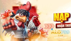 aalo789ink's picture