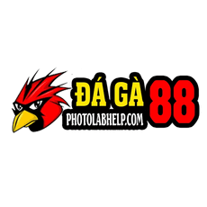 daga88photo's picture