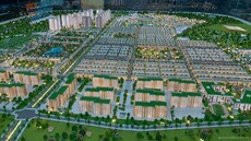 greennestera's picture