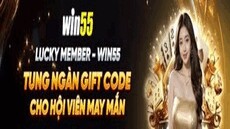 Win55plive's picture Win55plive's picture