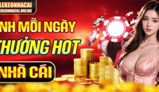 tilekeonhacai's picture