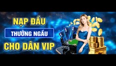 elviaprotv's picture