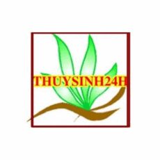 thuysinh24hcom's picture