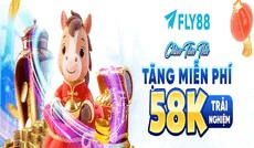 fly88netcom's picture