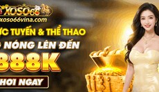 minhtuanxoso66vina's picture