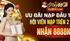 giabaohay88vina's picture