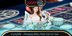 lucky88africa1's picture