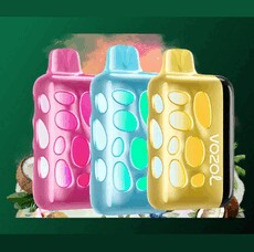 vozolevapede04's picture